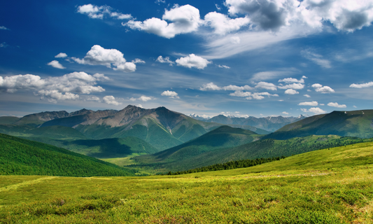 休暇のお知らせ